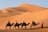 Caravan